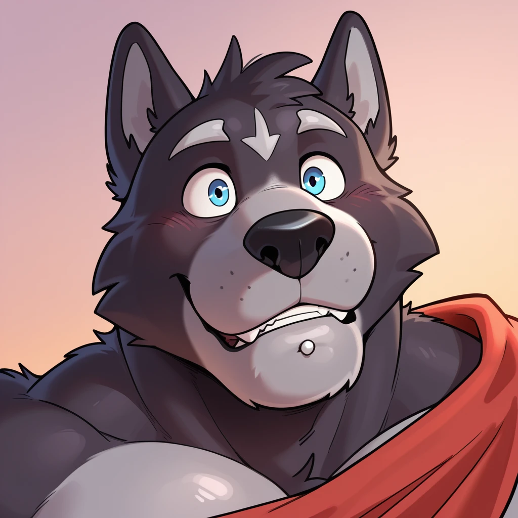 masterpiece, best quality, amazing quality, 1boy, solo, Amicus, bara, red cape, lip piercing, close up,