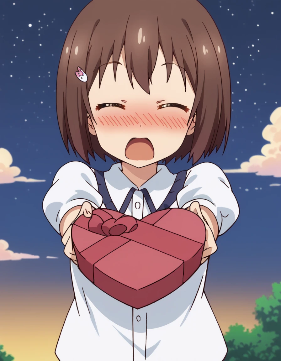 score_9, score_8_up, score_7_up, source_anime, <lora:mizuki-usami-s1-ponyxl-lora-nochekaiser:1>, mizuki usami, short hair, brown hair, hair ornament, hairclip, brown eyes, medium breasts, anime screencap,, <lora:heart-shaped-box-ponyxl-lora-nochekaiser:1>, heart-shaped box, holding, box, gift, valentine, incoming gift, closed eyes, blush, open mouth, outstretched arms, outdoors, night sky, clouds, shouting,, , cowboy shot, solo