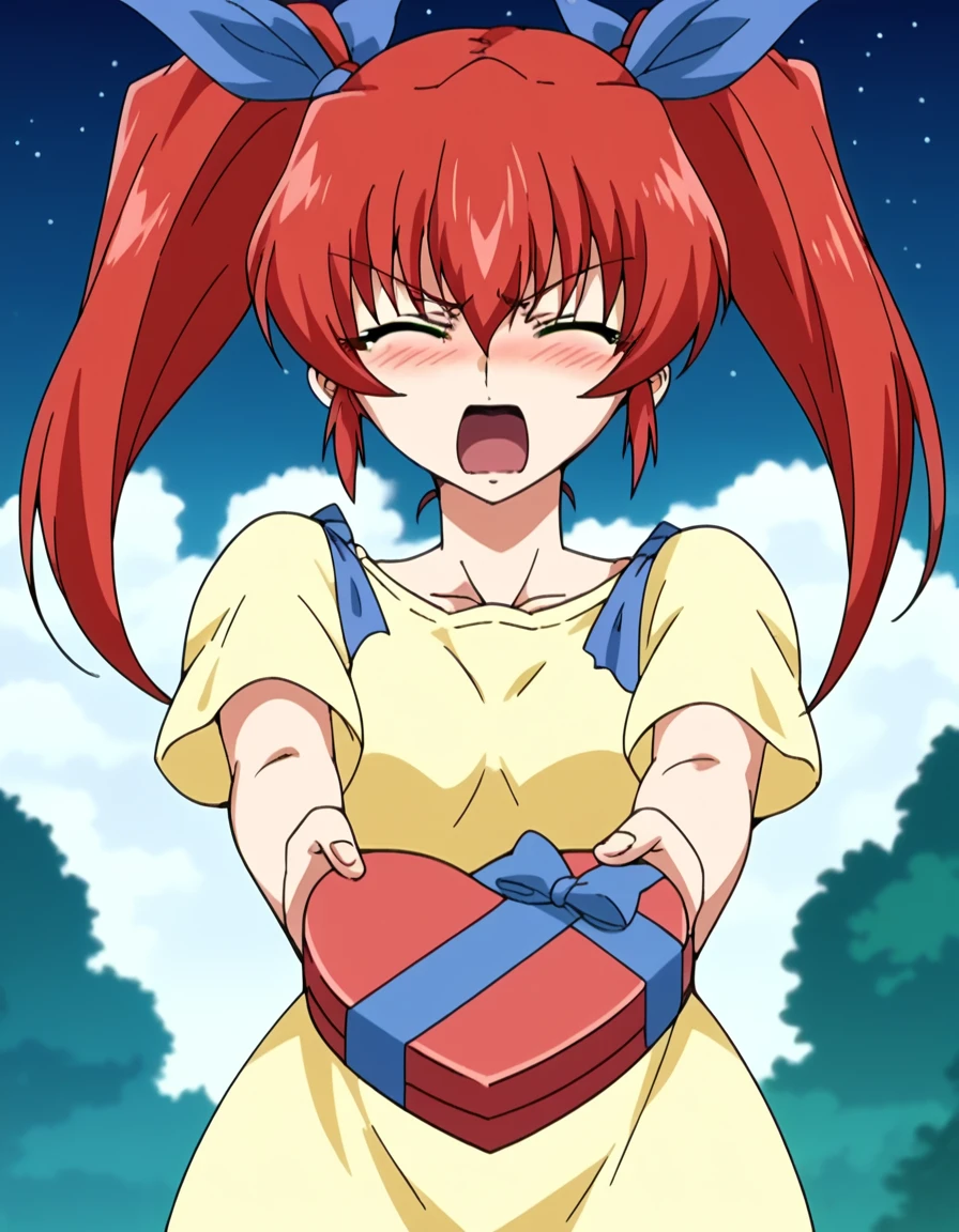 score_9, score_8_up, score_7_up, source_anime, <lora:takane-hiiragi-ova-ponyxl-lora-nochekaiser:1>, takane hiiragi, small breasts, mature female, green eyes, red hair, twintails, two side up, hair ribbon, blue ribbon, anime screencap, <lora:heart-shaped-box-ponyxl-lora-nochekaiser:1>, heart-shaped box, holding, box, gift, valentine, incoming gift, closed eyes, blush, open mouth, outstretched arms, outdoors, night sky, clouds, shouting,, , cowboy shot, solo