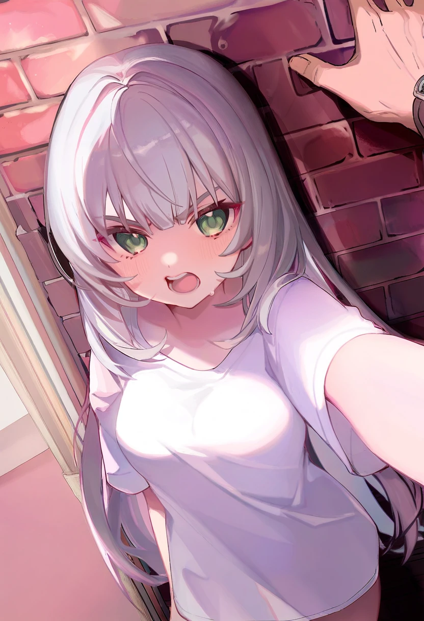 1girl, 1boy, by ciloranko, by kedama milk,
long hair, green eyes, grey hair, white shirt, t-shirt, oversized clothes, medium breasts, open mouth, angry,
kabedon, looking at viewer, against wall, brick wall,
masterpiece, best quality