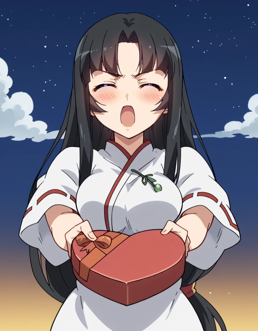 score_9, score_8_up, score_7_up, source_anime, <lora:queens-blade-tomoe-s1-ponyxl-lora-nochekaiser:1>, tomoe, long hair, large breasts, black hair, purple eyes, low-tied long hair, anime screencap, <lora:heart-shaped-box-ponyxl-lora-nochekaiser:1>, heart-shaped box, holding, box, gift, valentine, incoming gift, closed eyes, blush, open mouth, outstretched arms, outdoors, night sky, clouds, shouting,, , cowboy shot, solo