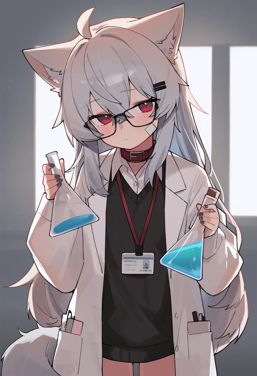 very awa, masterpiece, best quality, year 2024, newest, highres, absurdres, 1girl, ooriru, red eyes, glasses, tape on cheek, hairclip, animal collar, wolf tail, lab coat, collared shirt, sweater, head turn, looking at viewer, holding flask, lab, erlenmeyer flask, id card, lanyard