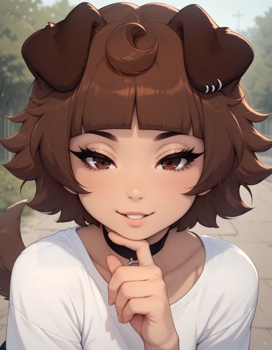 masterpiece, best quality,
outdoors,
white shirt,
upper body,face focus,long eyelashes,parted lips,seductive smile, hand touching chin,
<lora:Mimi_v01_ILXL:1>,
Mimi,1girl,solo,dog girl,short hair,brown hair,blunt bangs,dog ears,brown eyes,black choker,dog tail,