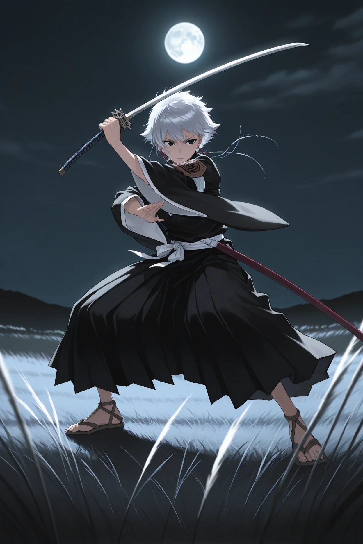 masterpiece, best quality, 1girl, solo, <lora:kotetsuisane-illu-nvwls-v1_1-000006:1> is4ne, silver hair, short hair with long locks, black eyes, earrings, black kimono, wide sleeves, white sash, black hakama, armband, brown arm badge, holding sword, fighting stance, katana, serious, wide shot, sandals, standing, wide stance, night, field, moon, mountains