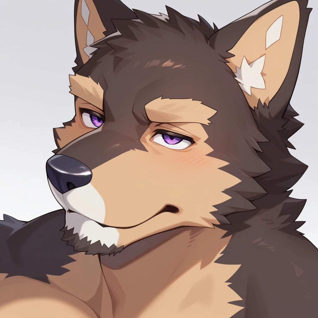 masterpiece, best quality, amazing quality, solo, 1boy, Pubraseer, Purple eyes, close up