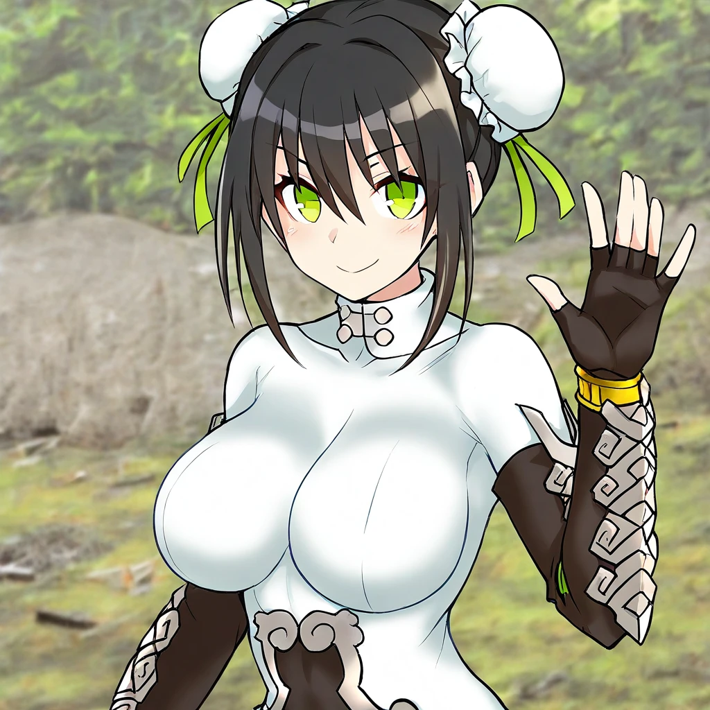 Qin Liangyu | Fate/Grand Order 1.0