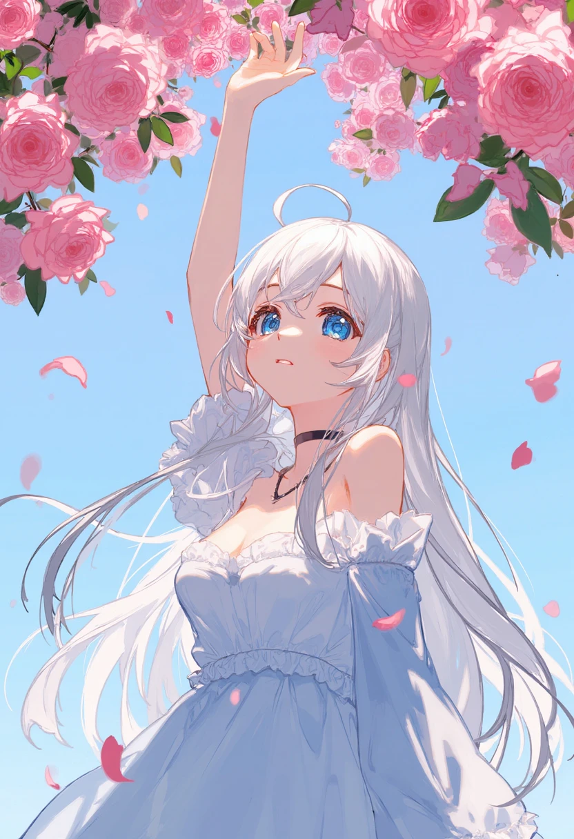 Preview 4
