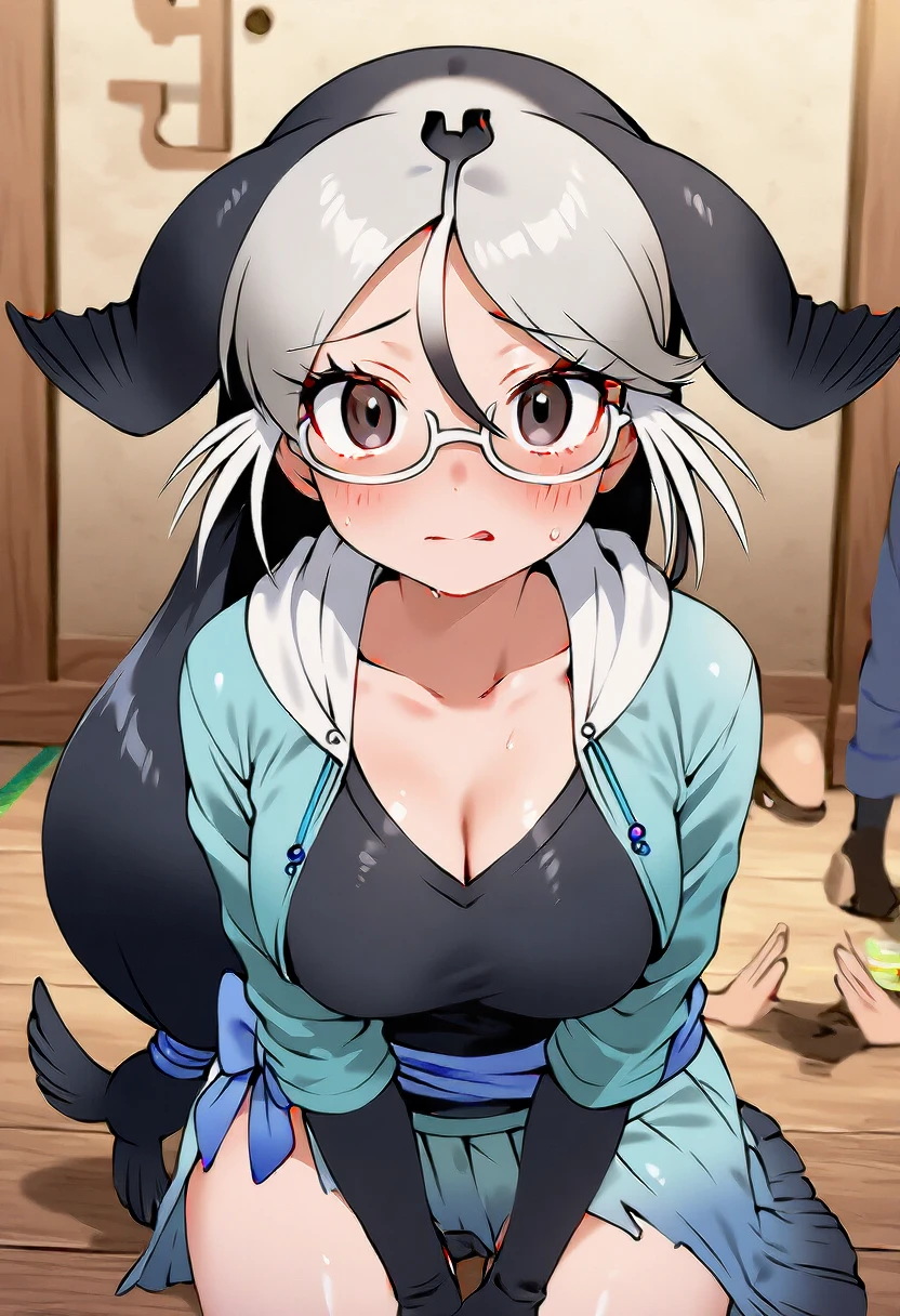 california sea lion (kemono friends) V1