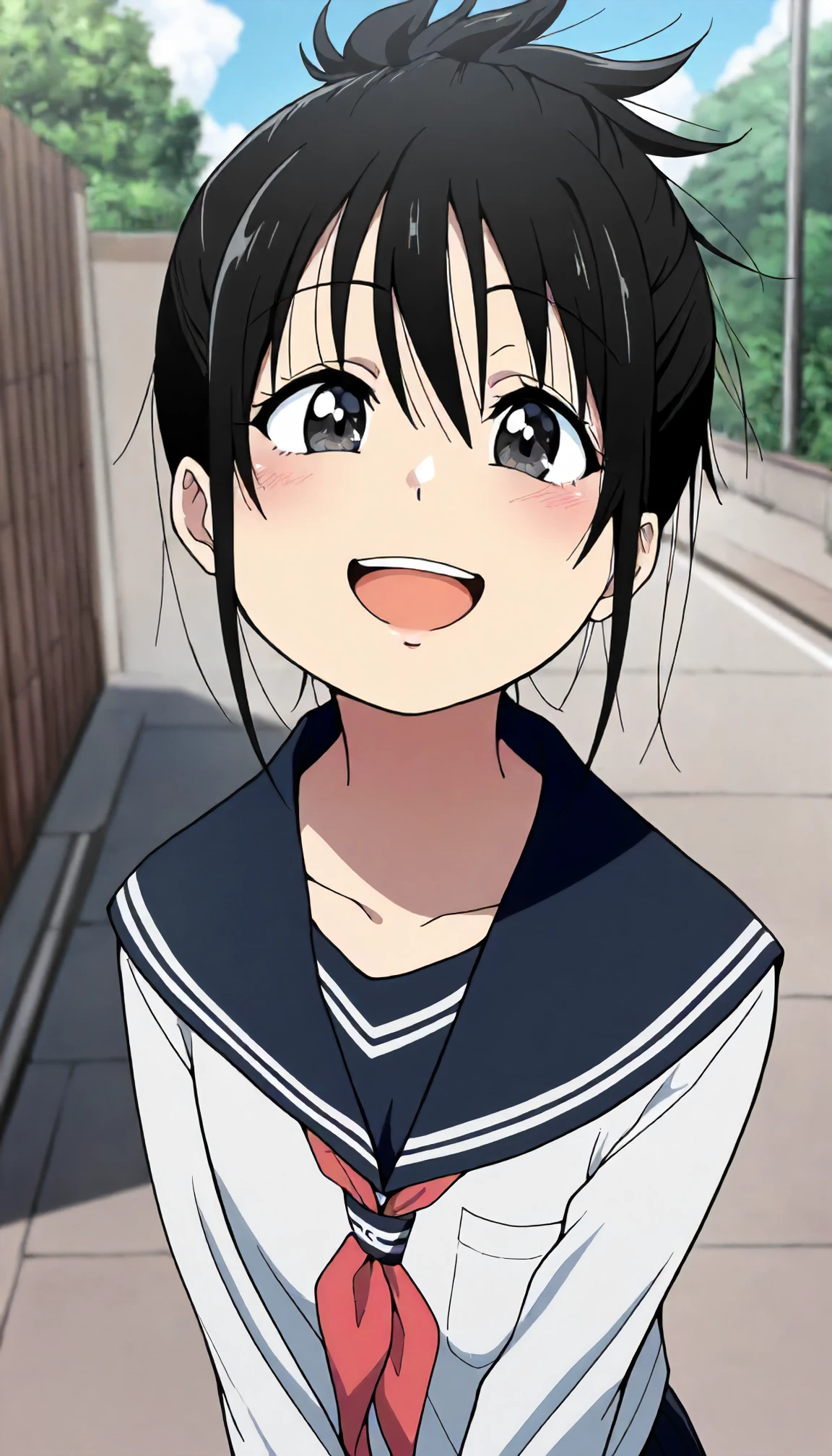 <lora:JD_sayoXLIllustrious001>,
masterpiece,best quality,good quality,newest,
outdoors,
smile,open mouth,
looking at viewer,
anime coloring,
sayo\(jamidokku!\),1girl,black hair,hair up,black eyes,
standing,
serafuku,