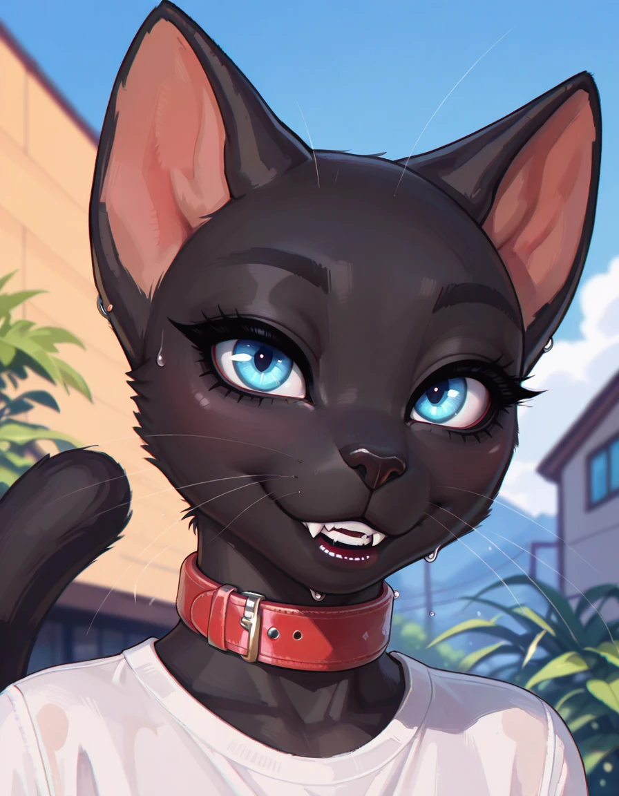 Cat v1.0 - NoobAI