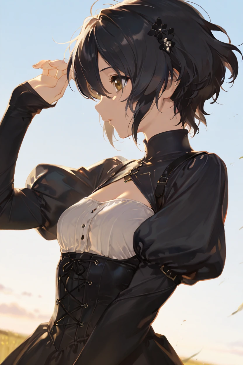 masterpiece, best quality, very aesthetic, newest, absurdres, highres,
1girl, solo,
<lora:TakigawaMiuIllustriousV1:1> takigawamiu, black hair, wavy hair, short hair, brown eyes, hair between eyes,
sky, floating hair, profile, looking ahead, shading eyes, upper body, dutch angle,
black dress, long sleeves, sleeves past wrists, puffy sleeves, bodice, high collar, jewelry, hair ornament,
<lora:reiXLNB11lokrV63P1:0.8>