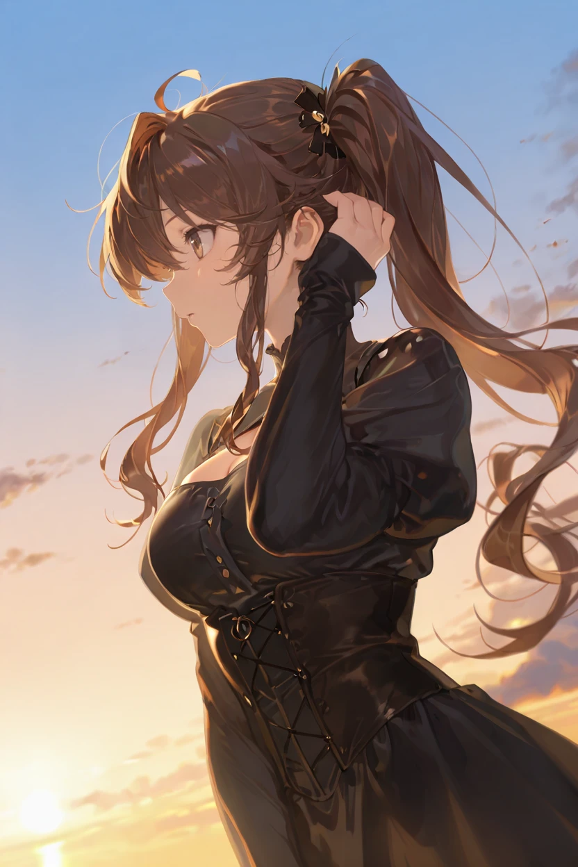 masterpiece, best quality, very aesthetic, newest, absurdres, highres,
1girl, solo,
 <lora:TodaJunIllustriousV1:1> todajun, brown hair, long hair, wavy hair, ahoge, hair between eyes, side ponytail, brown eyes,
sky, floating hair, profile, adjusting hair, looking ahead, upper body, dutch angle,
black dress, long sleeves, sleeves past wrists, puffy sleeves, bodice, high collar, jewelry, hair ornament,
<lora:reiXLNB11lokrV63P1:0.8>