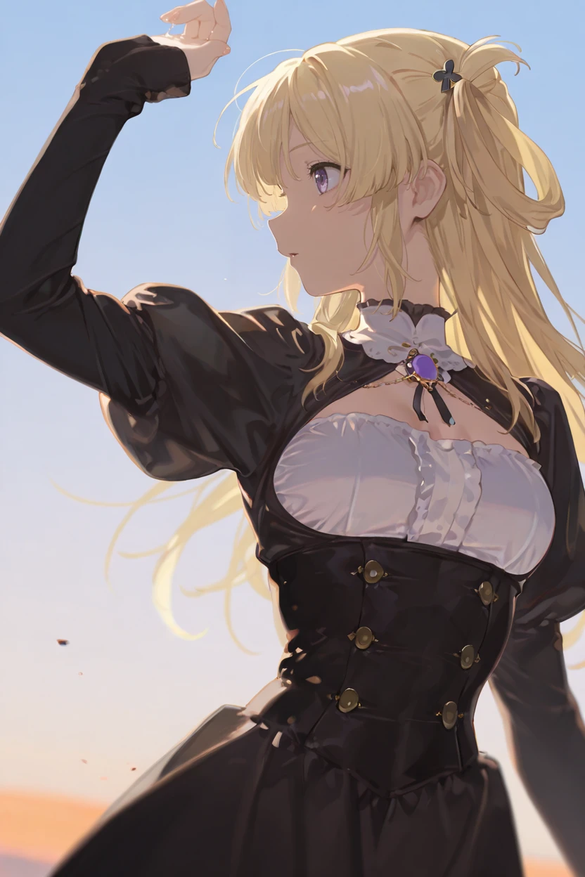 masterpiece, best quality, very aesthetic, newest, absurdres, highres,
1girl, solo,
 <lora:FujimaSakuraIllustriousV1:1> fujimasakura, blonde hair, long hair, hair rings, purple eyes,
sky, floating hair, profile, shading eyes, looking ahead, upper body, dutch angle,
black dress, long sleeves, sleeves past wrists, puffy sleeves, bodice, high collar, jewelry, hair ornament,
<lora:reiXLNB11lokrV63P1:0.8>