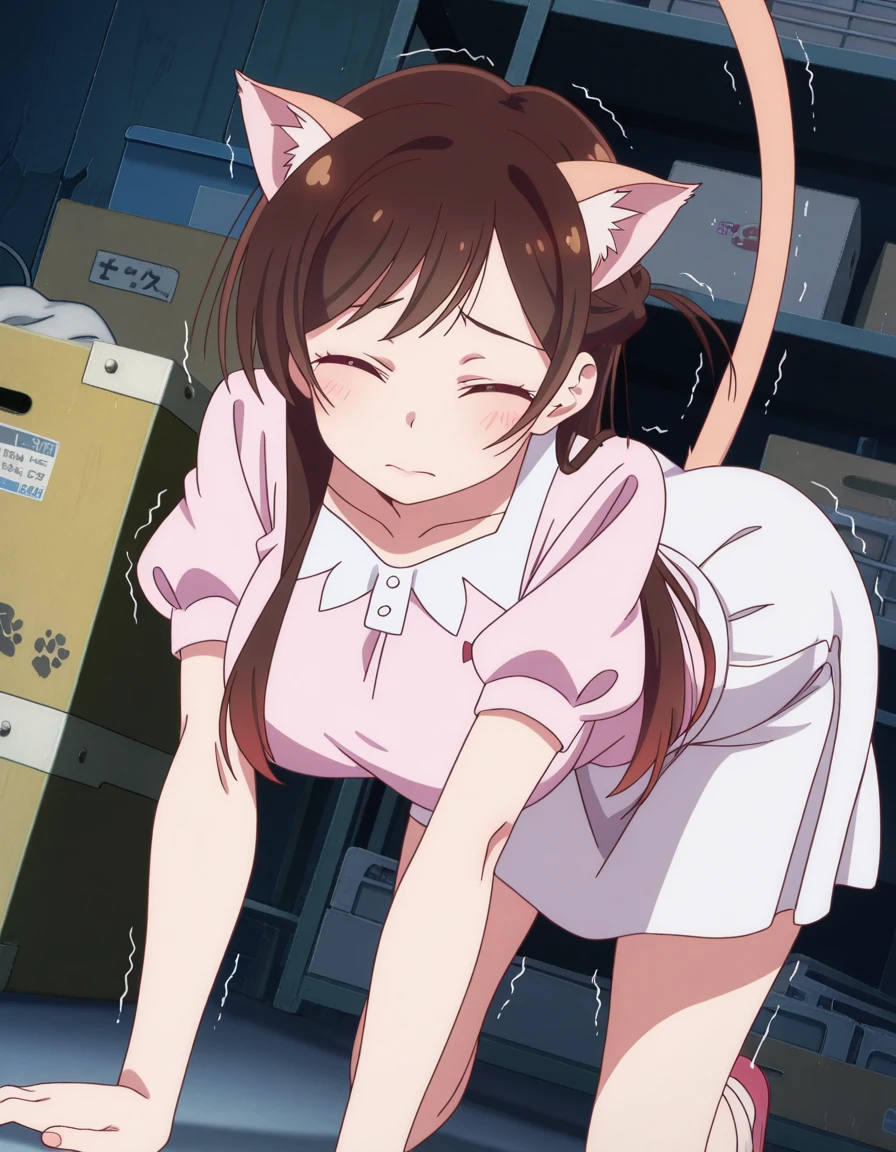 masterpiece, best quality, amazing quality,, <lora:chizuru-ichinose-s1-illustriousxl-lora-nochekaiser:1>, chizuru ichinose, long hair, bangs, brown hair, brown eyes, one side up, large breasts, mature female, anime screencap, skirt, shirt, short sleeves, puffy sleeves, puffy short sleeves, white skirt, pink shirt,, storage room, shelves, boxes, clutter, supplies, , stretching, top-down bottom-up, all fours, arched back, closed eyes, cat tail, animal ears, tail ears, trembling, looking at viewer, solo,, cowboy shot, solo