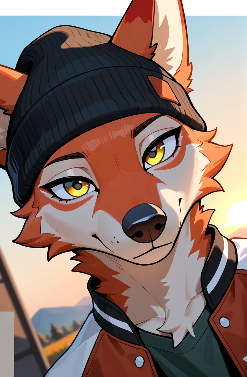 masterpiece, best quality, newest, absurdres, highres, anthro, 1boy, solo, coyote, amber fur, yellow eyes, (muscular:0.60), letterman jacket, beanie hat, daylight, bright, sunny, looking at viewer, portrait, Dutch angle, BREAK, detailed eyes, depth of field, detailed background,
