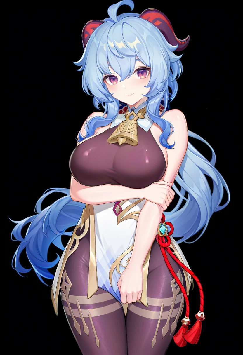 dk.senie Style [NoobAi vpred 1.0] v1.0