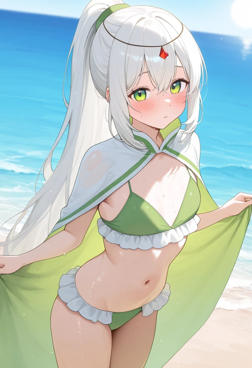 Preview 4