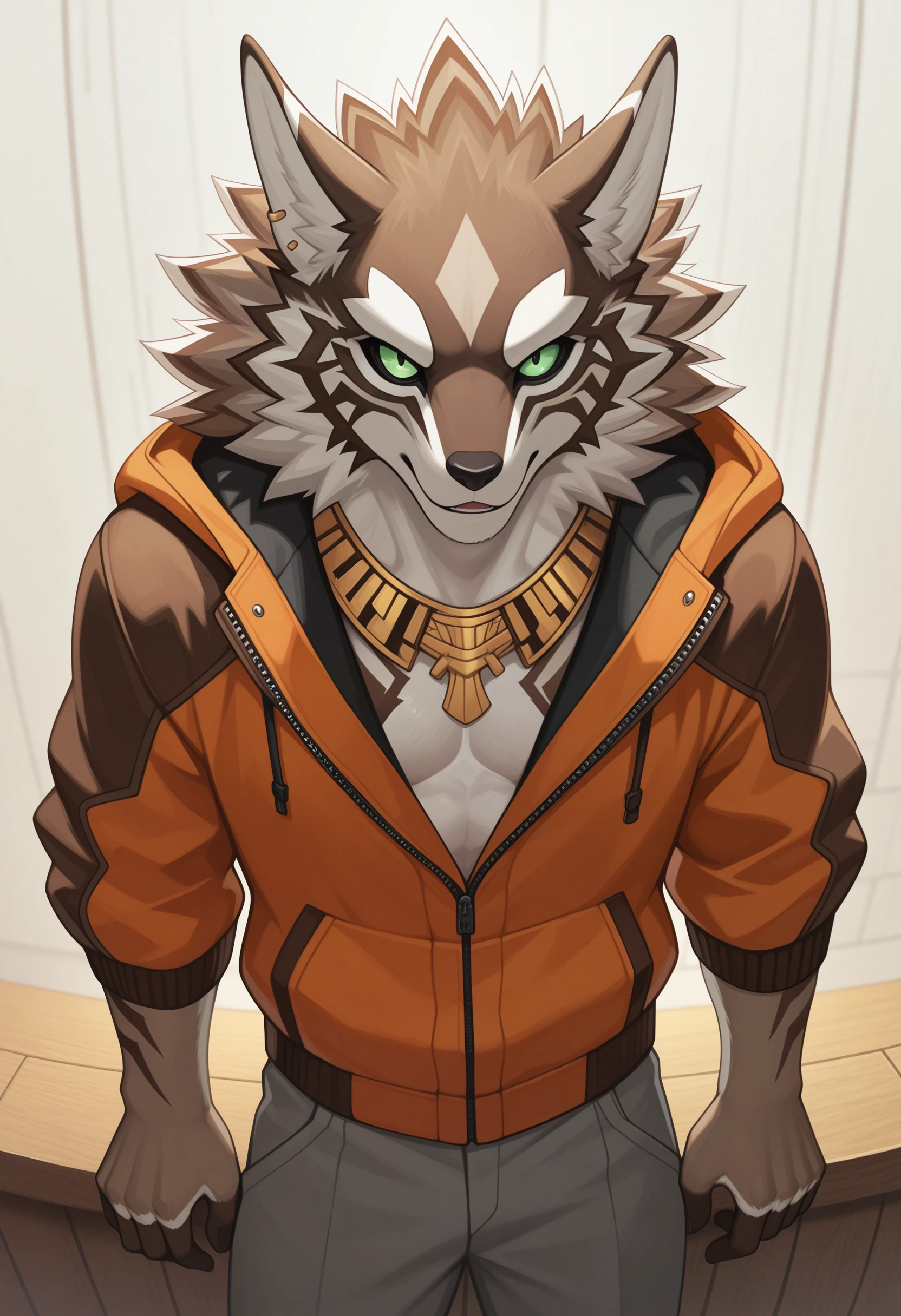 masterpiece, best quality, amazing quality, solo, 1boy, SethTas, orange jacket, grey pants, necklace, face focus