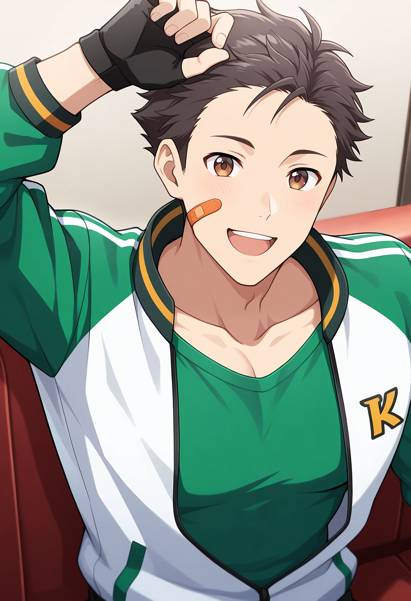 Ryu Kimura (THE iDOLM@STER SideM) | 木村龍 [Mマス] | Illustrious Illustrious v1.0