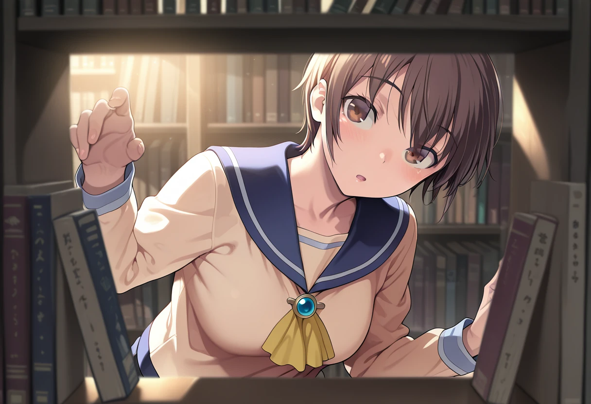 through the bookshelf v1.0