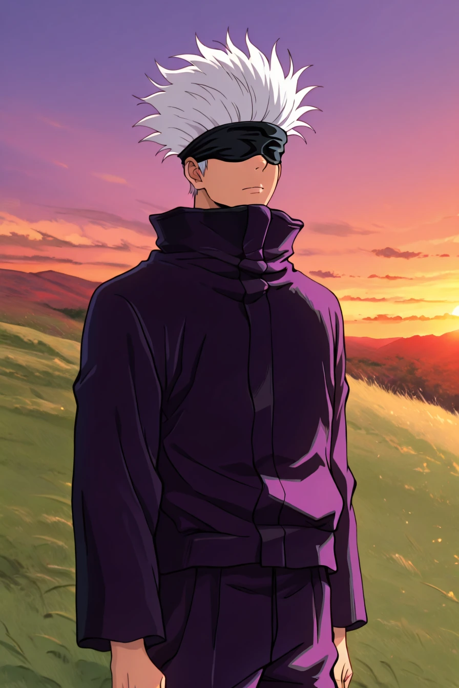gojou satoru, white hair, purple pants, high collar, blindfold, covered eyes, black blindfold, purple jacket, purple pants, 1boy, solo, alone, <lora:ghibli_midjourney_style_illustriousXL:1>, ghibli_midjourney_style, grass, outdoor, sky, sunset, masterpiece, highres