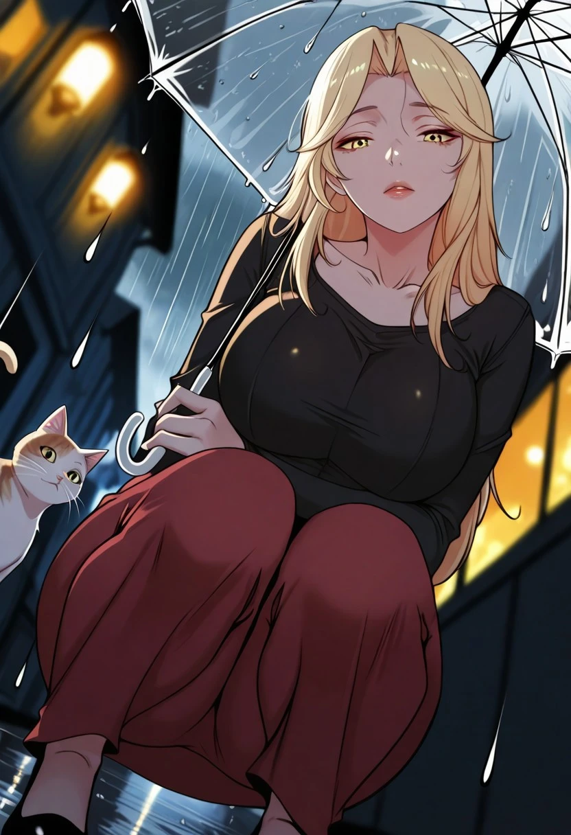 masterpiece, best quality, amazing quality, very aesthetic, absurdres, newest, (From Below:1.2), Wide Shot, Vanishing Point, (Dutch Angle:1.1), From Side, Innocence, purity,Naughty,
sehwa, 1girl, blonde hair, long hair, large breasts, yellow eyes, parted bangs,
outfit1, black shirt, collarbone, long sleeves, red skirt,
rain, holding transparent umbrella, squatting, looking at viewer, cat, blul night sky, colorful, shadowy lighting, cinematic atmosphere, high contrast, blurry background, raindrops disappearing into the sky perspective,