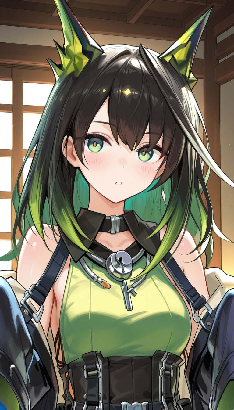 (masterpiece),best quality,amazing quality,very aesthetic,absurdres,newest,perfect body,shiny skin,perfect eyes,detail1eye,well-defined fingers,well-defined fingernails,anime style,indoors,1girl,solo,upper body,(portrait:1.5),looking at viewer,facing viewer,deadpan,blush,Mon3tr,animal ears,long hair,black hair,multicolored hair,green hair,sidelocks,hair between eyes,bangs,green eyes,collar,bare shoulders,off shoulder,black collar,black coat,open coat,green dress,sleeveless dress,side slit dress,long sleeves,sleeves past fingers,medium breasts,black tunic,black shorts,thigh strap,knee boots,black footwear,<lora:Mon3tr(ark)-Illus:1.8>,