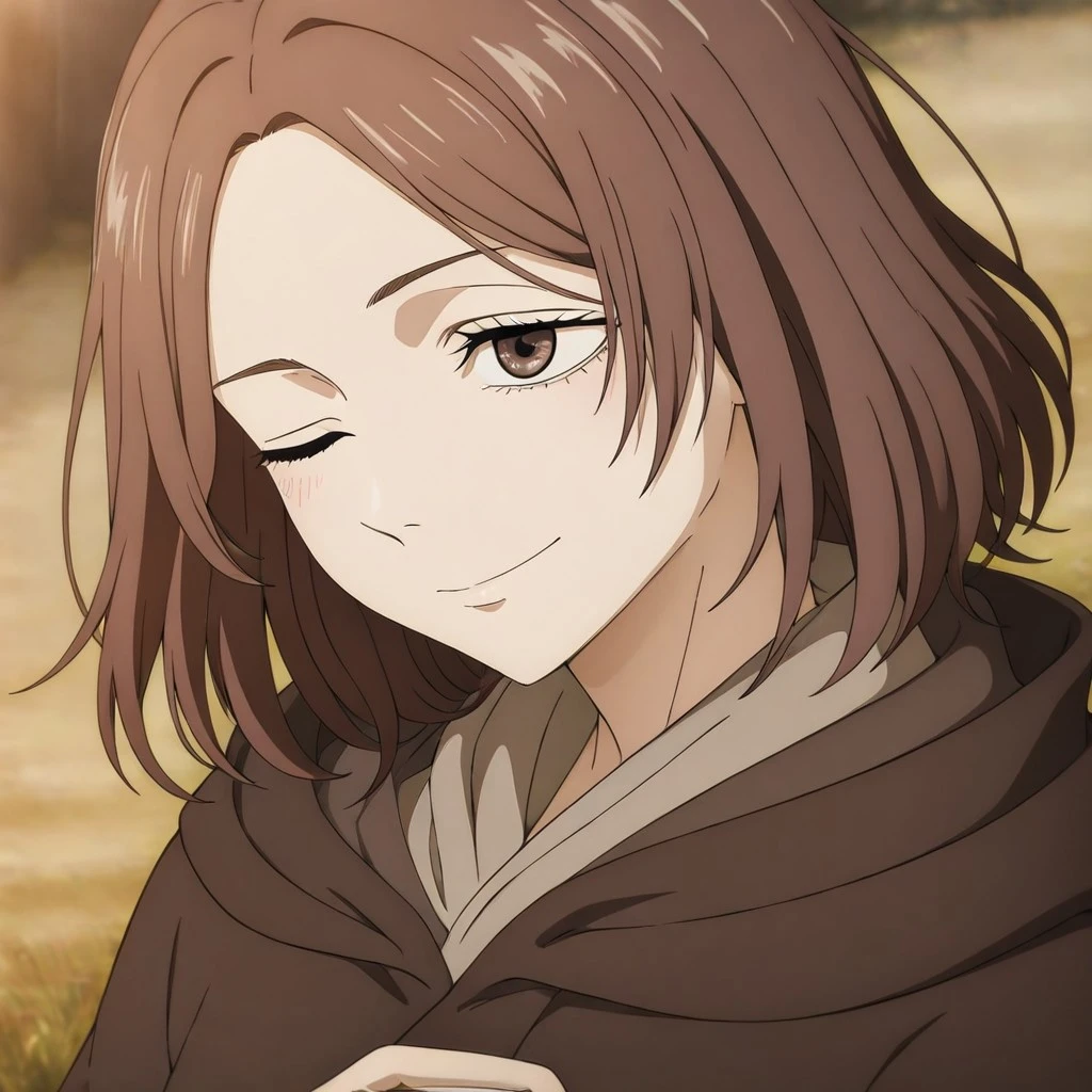 masterpiece, best quality, newest, absurdres, highres, anime, anime style, TDAEV1.0,
1girl, melina (elden_ring), one eye closed, brown eyes, brown hair, hood, hood down, one eye closed, parted hair,
