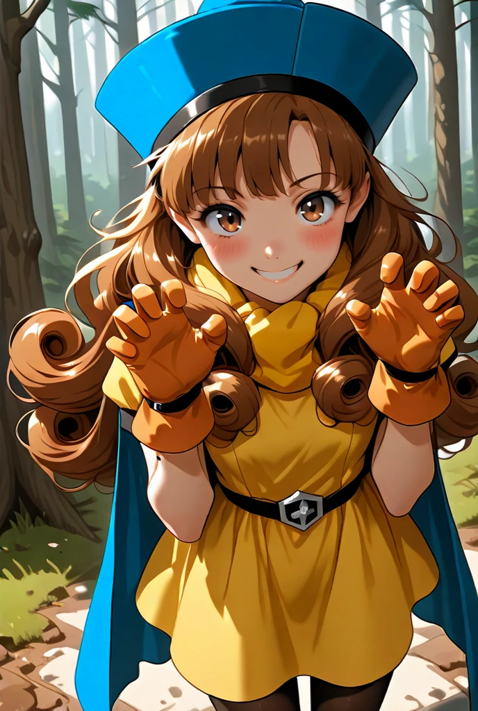 Alena (アリーナ) - Dragon Quest - 勇者斗恶龙 v1.0