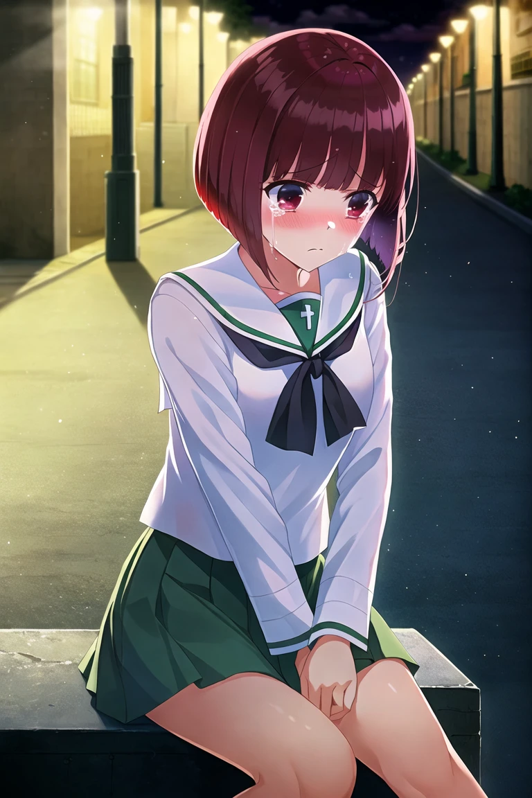 masterpiece, high quality, solo, 1girl, arima kana, ooarai school uniform, emotional, sad, melancholic, nighttime, street lights, dramatic shadows, longing, introspective, moody atmosphere, wind, distant gaze, tears, sitting alone, soft lighting, cloudy sky, empty street, urban solitude, nostalgic, reflective, pained expression, blurry background, loneliness, silhouette