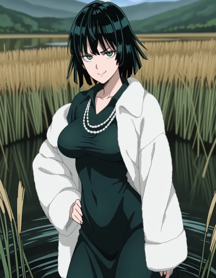masterpiece, best quality, amazing quality,, <lora:opm-fubuki-s1s2-illustriousxl-lora-nochekaiser:1>, fubuki, fubuki (one-punch man), black hair, green eyes, short hair, mature female, breasts, anime screencap,, black dress, dress, fur coat, high collar, jewelry, necklace, off shoulder, taut clothes, taut dress,, smug, hand on own hip,, wetland, water, reeds, swamp, wildlife, cowboy shot, solo, looking at viewer