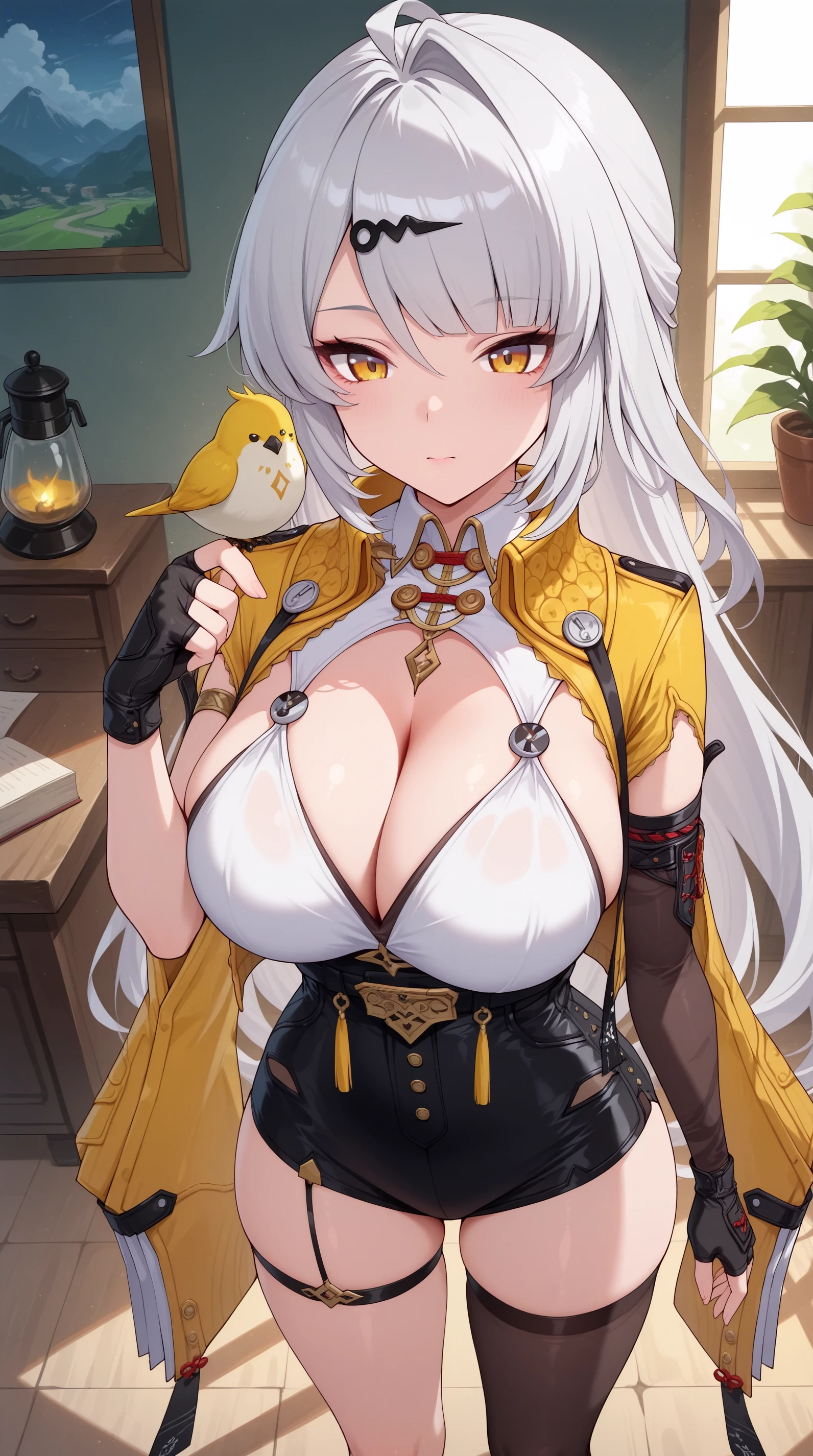 Yi Xuan | 儀玄 | ZZZ | Zenless Zone Zero | IL | v2.0 Illustrious
