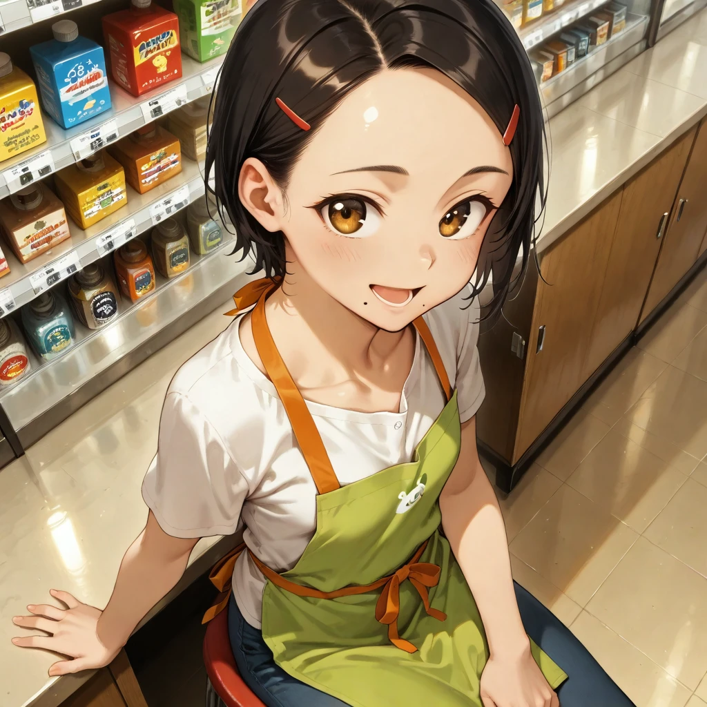 Fujimaru Artist Style [NoobAI] v1.0