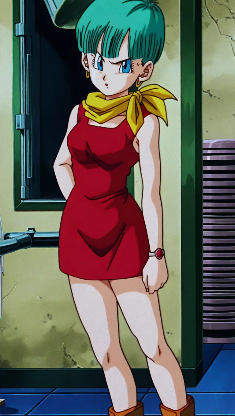 Bulma DBZ illustrious illustrious (waiNSFW)