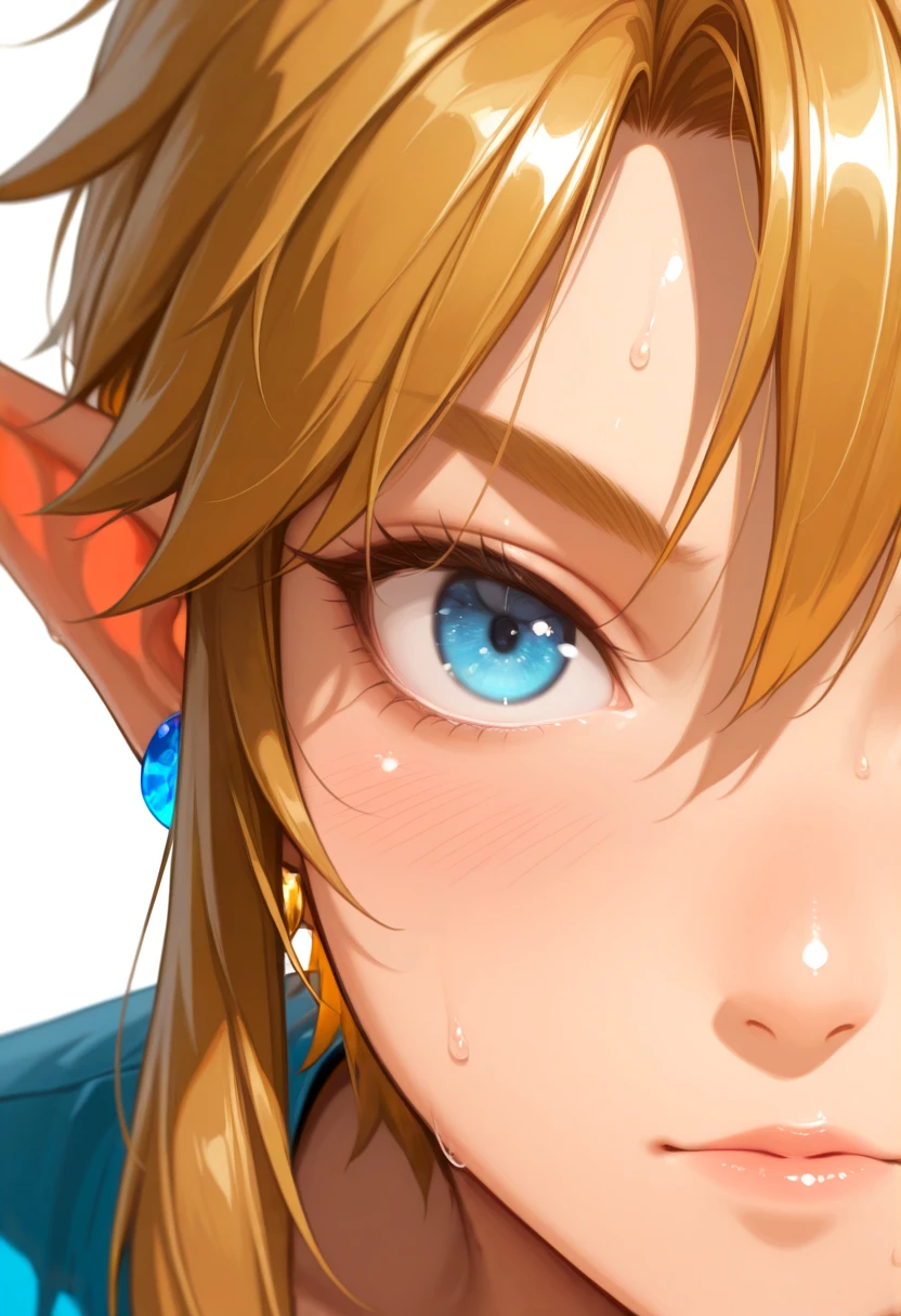 1boy, 
link, 
amazing quality, high resolution, ultra-detailed, solo, looking at viewer, face, close up, portrait,
masterpiece, best quality, very aesthetic, absurdres