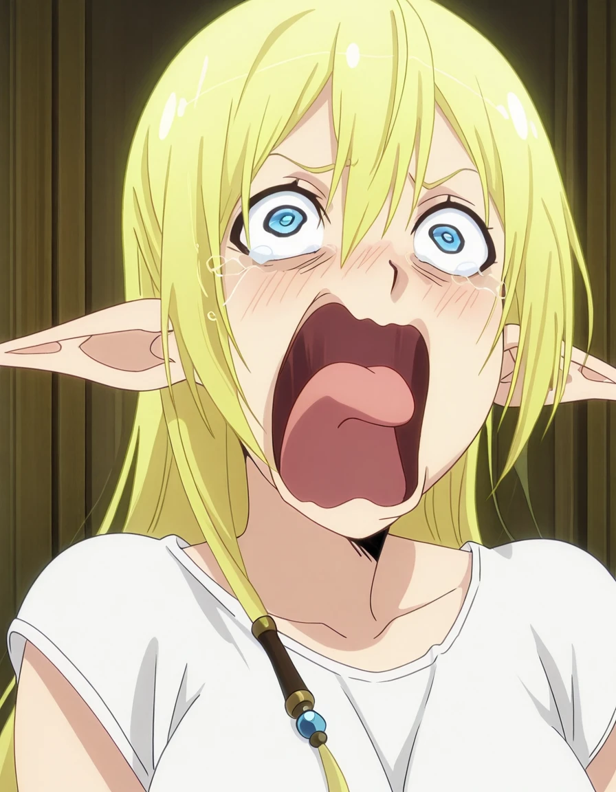 masterpiece, best quality, amazing quality,, <lora:tuka-luna-marceau-s1s2-illustriousxl-lora-nochekaiser:1>, tuka luna marceau, long hair, blonde hair, pointy ears, elf, blue eyes, mature female, medium breasts, anime screencap, <lora:crying-aqua-illustriousxl-lora-nochekaiser:1> crying aqua, crying aqua (meme), screaming, crying, crying with eyes open, tears, tongue, open mouth,,