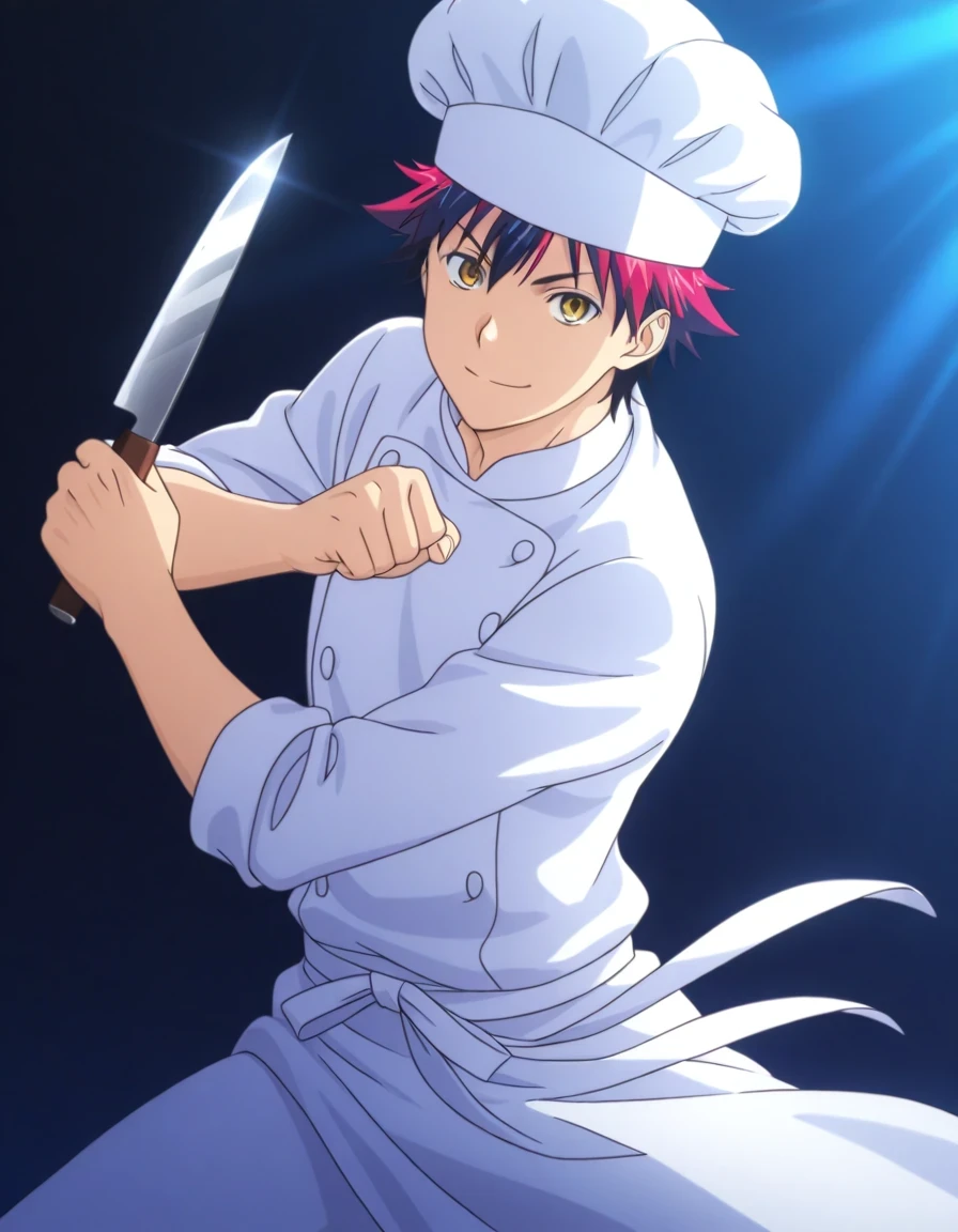 Shokugeki no Soma (Food Wars) | Style | IllustriousXL Main
