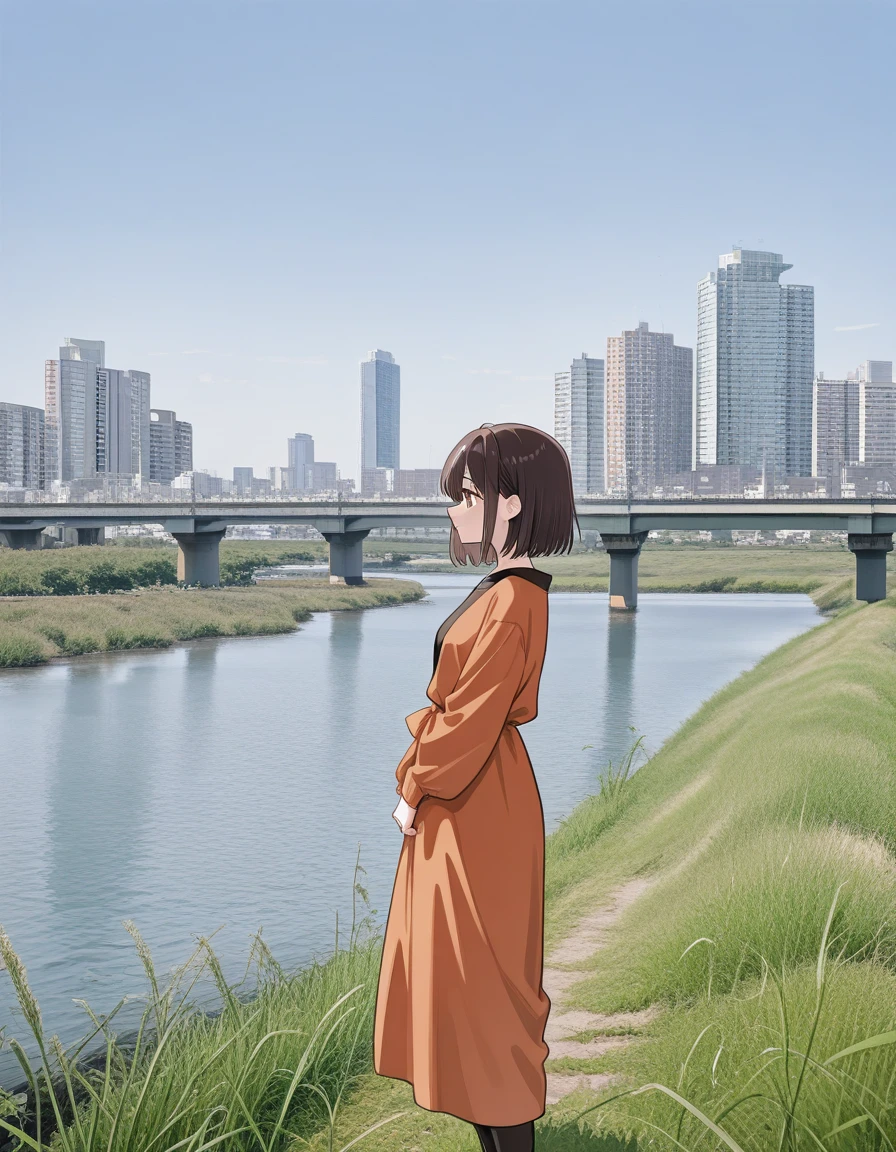 日本の堤防沿い 、河川敷 、土手道 \ Riverside scenery in Japan , Riverbanks , causeways v2.0