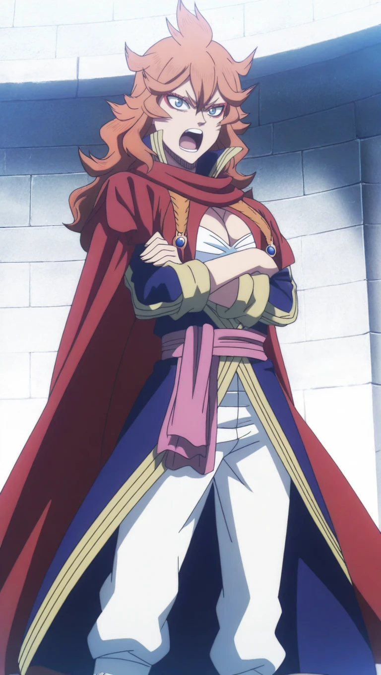 (masterpiece, best quality:1.2), <lyco:style_ideolo-10:1.0>, <lyco:blackclover_mereoleona-10:0.8>, cowboy shot, solo, 1girl, mereoleona vermillion, smile, looking at viewer, crossed arms, blue shirt, red cape, white pants