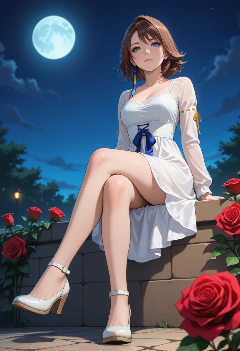 masterpiece, very aesthetic, best quality, absurdres, newest, solo,
<lora:ILFFYuna:1>
FFYuna, 1girl, brown hair, short hair, blue eyes, green eyes, heterochromia, looking at viewer, white dress, red flower, full moon, sitting, night, white footwear, red rose, from below, long sleeves, full body, sky, crossed legs, closed mouth