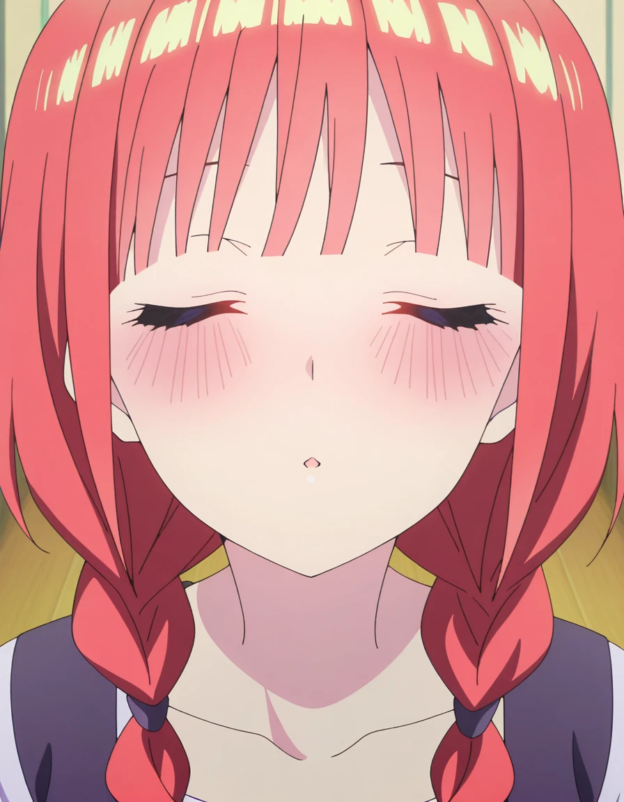 masterpiece, best quality, amazing quality,, <lora:nino-nakano-honeymoon-illustriousxl-lora-nochekaiser:1>, nino nakano, bangs, blue eyes, twintails, pink hair, braid, blunt bangs, twin braids, mature female, breasts, anime screencap, <lora:incoming-kiss-illustriousxl-lora-nochekaiser:1>, incoming kiss, closed eyes, blush, pov, upper body, , ,