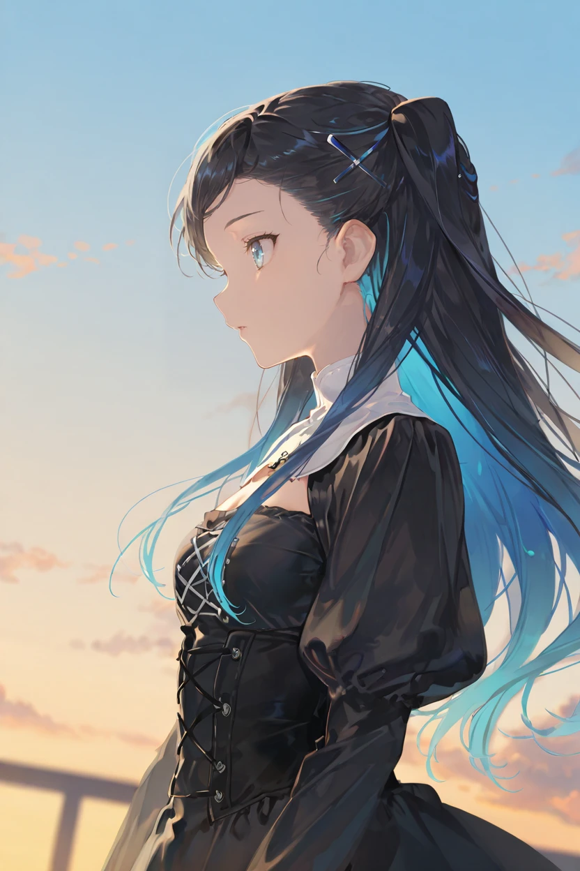 masterpiece, best quality, very aesthetic, newest, absurdres, highres,
1girl, solo,
<lora:NishiuraSoraIllustriousV1:1> nishiurasora, long hair, black hair, blue hair, multicolored hair, gradient hair, colored inner hair, two side up, blue eyes,
sky, floating hair, profile, looking ahead, upper body, dutch angle,
black dress, long sleeves, sleeves past wrists, puffy sleeves, bodice, high collar, jewelry, hair ornament,
<lora:reiXLNB11lokrV63P1:0.8>