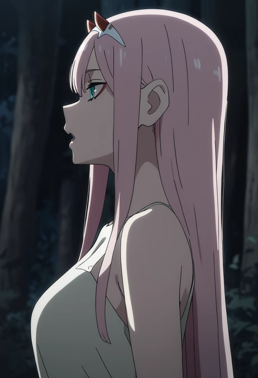 masterpiece, best quality, good quality, very awa, newest, highres, absurdres,outdoors, ZeroTwo-DarlingInTheFranXX ,
Zero Two \(Darling in the FranXX\), 1girl, solo, long hair, open mouth, bangs, dress, bare shoulders, upper body, pink hair, hairband, horns, from side, aqua eyes, tree, profile, night, nature, forest, white hairband, oni horns
, <lora:Zero Two (Darling in the FranXX) Illustrious v3:0.8>