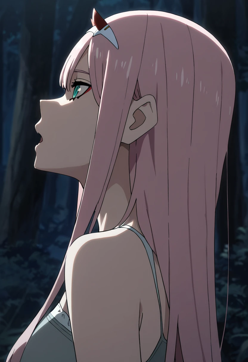 masterpiece, best quality, good quality, very awa, newest, highres, absurdres,outdoors, ZeroTwo-DarlingInTheFranXX ,
Zero Two \(Darling in the FranXX\), 1girl, solo, long hair, open mouth, bangs, dress, bare shoulders, upper body, pink hair, hairband, horns, from side, aqua eyes, tree, profile, night, nature, forest, white hairband, oni horns
, <lora:Zero Two (Darling in the FranXX) Illustrious v2:0.8>
