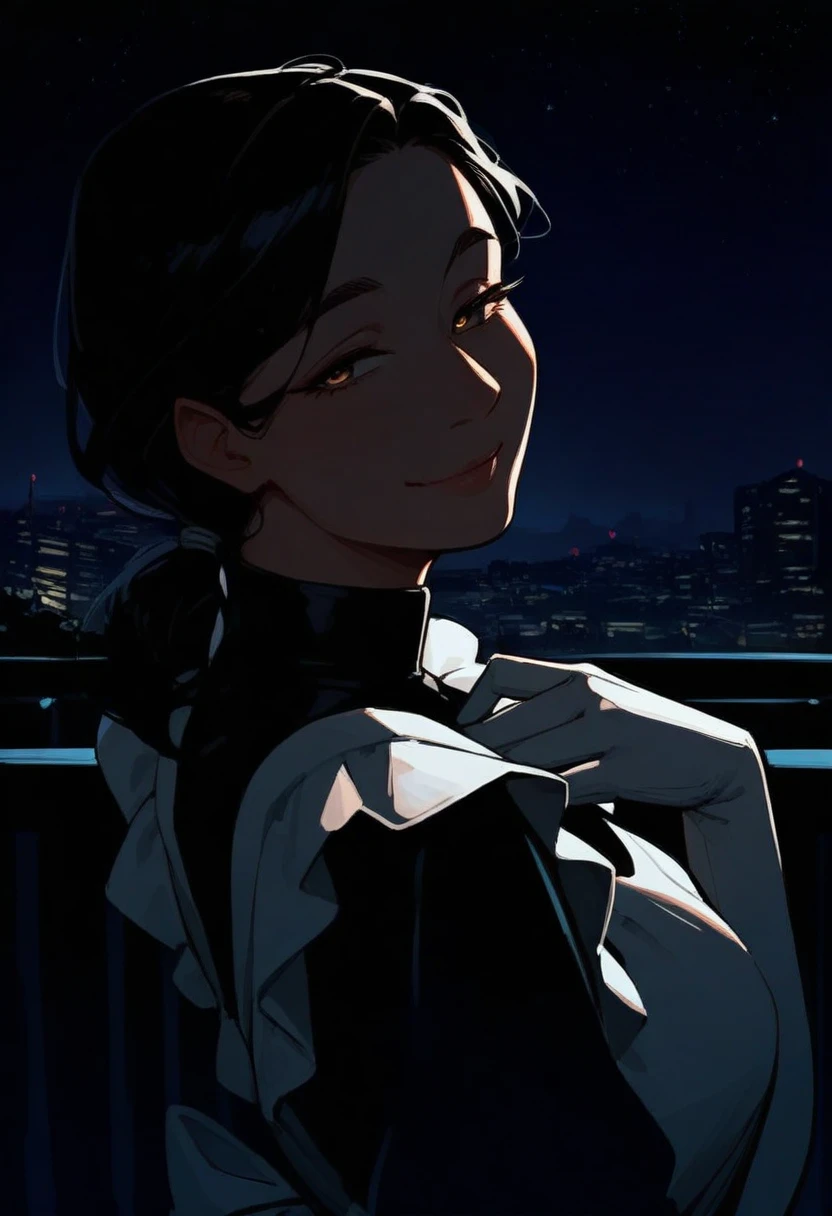 masterpiece, best quality, 1girl, solo, mature female, low side ponytail, one hand on own chest, maid, maid outfit, white elbow gloves, upper body, from side, looking at viewer, smile, balcony, night, starry sky, dark, city, cityscape, stylized