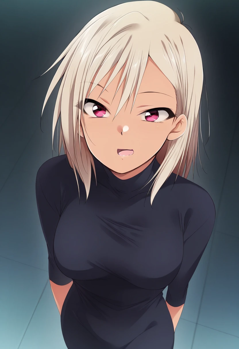 Kaiga Style V1