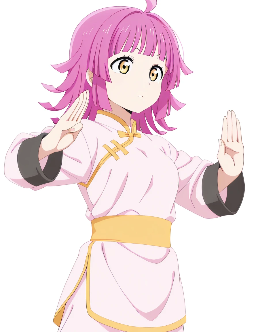 masterpiece, best quality, amazing quality,, <lora:rina-tennouji-s2-illustriousxl-lora-nochekaiser:1>, rina tennouji, tennouji rina, bangs, yellow eyes, pink hair, ahoge, blunt bangs, medium hair, blunt ends, mature female, small breasts, anime screencap, <lora:kung-fu-illustriousxl-lora-nochekaiser:1>, kung fu, martial arts, training, fighting stance, cowboy shot, , <lora:transparent-background-illustriousxl-lora-nochekaiser:1>, transparent background, simple background, white background