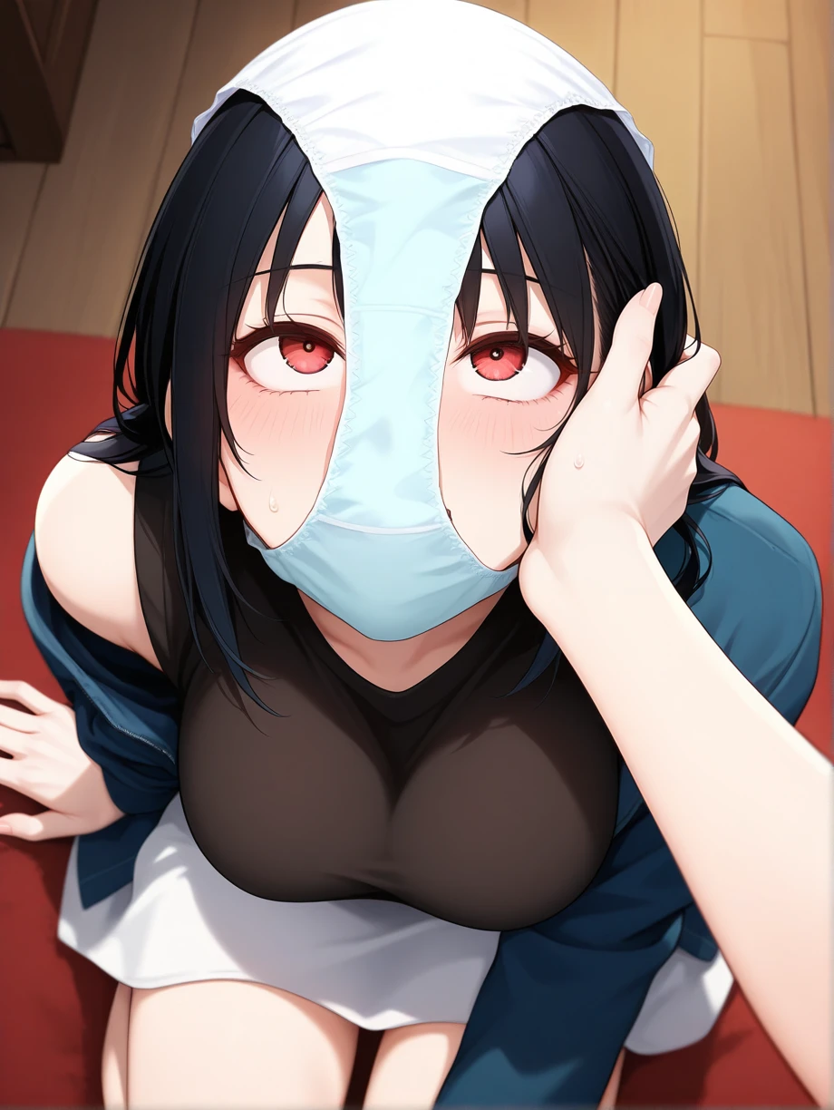 Panties on Face / Pantymask - [Clothing/Concept] [Illustrious] v0.1