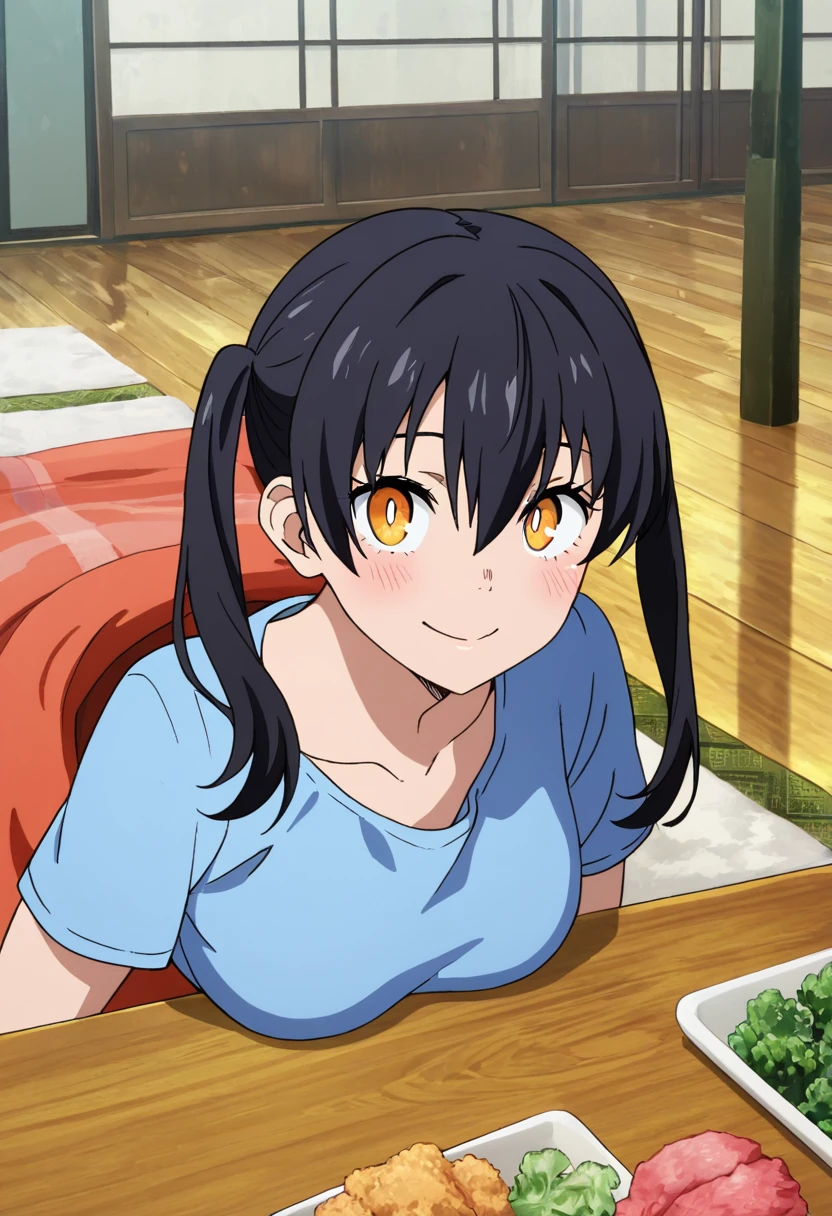 masterpiece, best quality, good quality, very awa, newest, highres, absurdres,outdoors,TamakiKotatsu-FireForce,
Tamaki Kotatsu \(Fire Force\), 1girl, solo, long hair, breasts, looking at viewer, blush, smile, bangs, shirt, black hair, hair between eyes, twintails, medium breasts, closed mouth, collarbone, yellow eyes, upper body, short sleeves, indoors, blue shirt
,<lora:Tamaki Kotatsu (Fire Force) Illustrious v3:0.8>