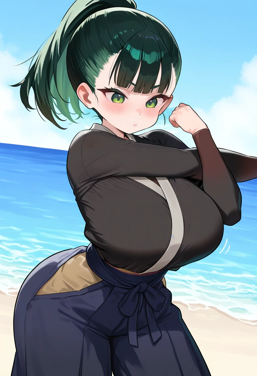 ichi-jirushi | Artist Style | NoobAI EPS & v-pred 1.0 | GLoRA | Commission v1.0